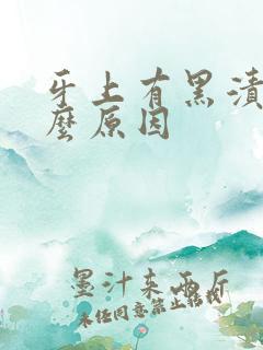 牙上有黑渍是什么原因