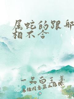 属蛇的跟哪些属相不合