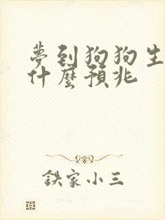 梦到狗狗生崽崽什么预兆