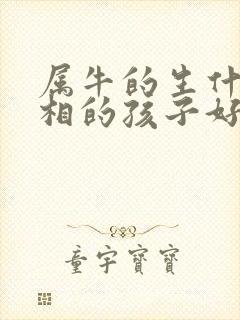 属牛的生什么属相的孩子好