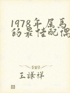 1978年属马的最佳配偶男