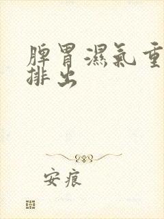 脾胃湿气重怎样排出