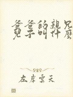 爸爸的亲兄弟的儿子叫什么