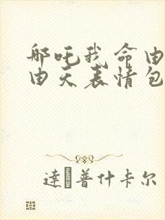 哪吒我命由我不由天表情包