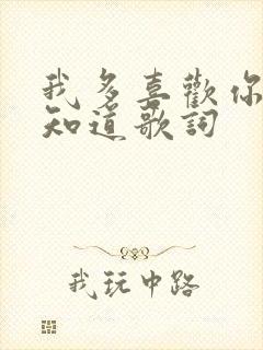 我多喜欢你你会知道歌词