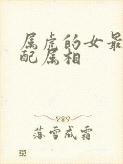 属虎的女最佳婚配属相