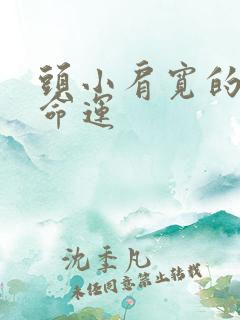 头小肩宽的女人命运