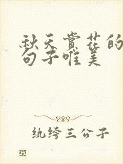 秋天赏花的心情句子唯美