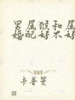 男属猴和属兔的婚配好不好