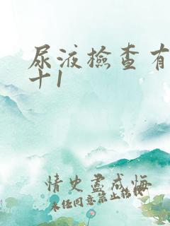 尿液检查有隐血十1