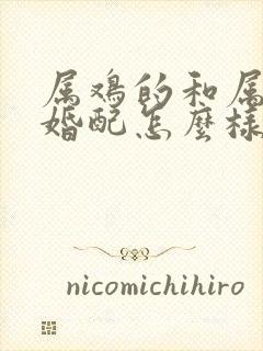 属鸡的和属马的婚配怎么样