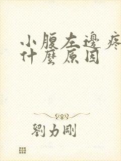 小腹左边疼痛是什么原因