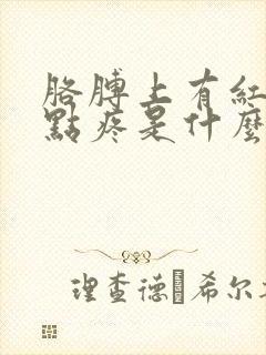 胳膊上有红点有点疼是什么原因