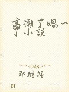 高潮了嗯~喷水了小说