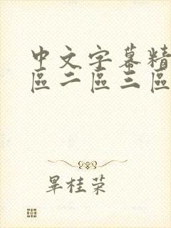 中文字幕精品一区二区三区av