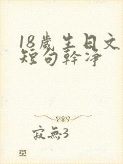 18岁生日文案短句干净