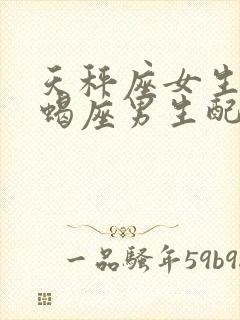 天秤座女生和天蝎座男生配对指数