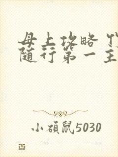 母上攻略 竹影随行第一主板