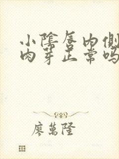 小阴唇内侧有小肉芽正常吗