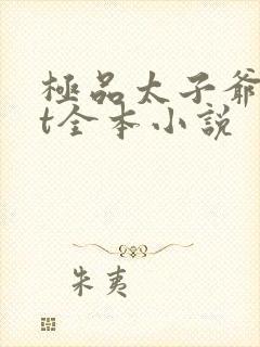 极品太子爷txt全本小说