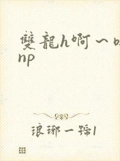 双龙h啊～嗯啊np