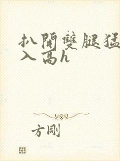 扒开双腿猛烈进入高h