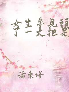 女生梦见头发掉了一大把是啥预兆