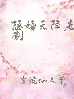 隐婚天降老公短剧