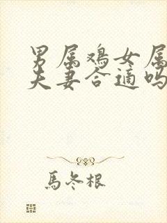 男属鸡女属兔做夫妻合适吗