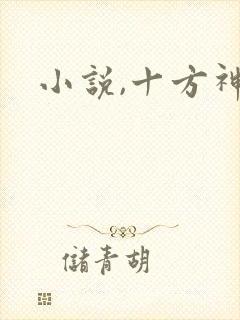 小说,十方神王