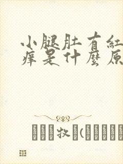 小腿肚有红斑块痒是什么原因