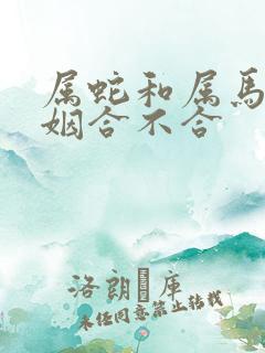 属蛇和属马的婚姻合不合