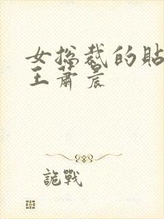 女总裁的贴身兵王萧晨