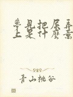 梦见把屎弄在身上是什么意思