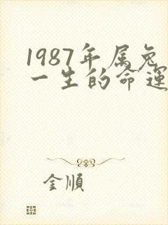 1987年属兔一生的命运怎么样