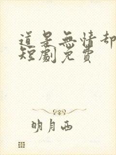 道是无情却有情短剧免费