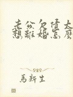 老公欠债太多我想离婚怎么离