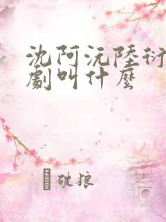 沈阿沅陆衍川短剧叫什么