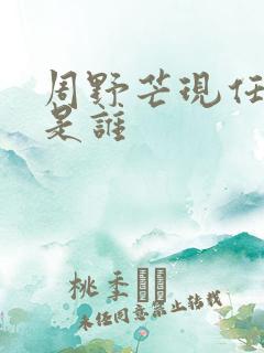 周野芒现任妻子是谁