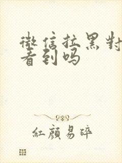 微信拉黑对方能看到吗