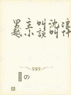 男主叫沈浪的穿越小说叫什么