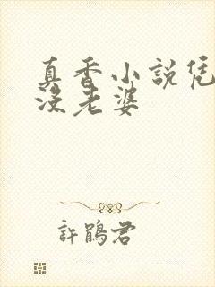 真香小说凭本事没老婆