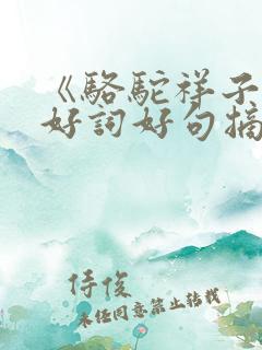 《骆驼祥子》的好词好句摘抄