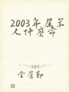 2003年属羊人什么命