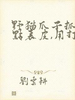 野猫爪子抓破了点表皮,用打针吗