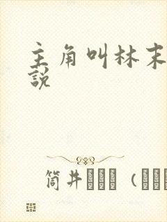 主角叫林末的小说