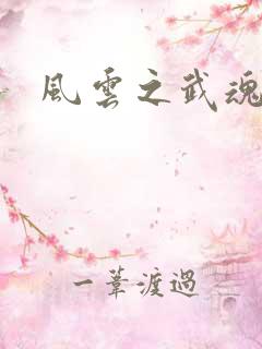 风云之武魂