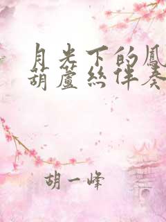 月光下的凤尾竹葫芦丝伴奏曲降b调