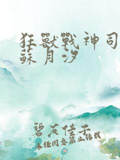 狂兽战神司空靖苏月汐