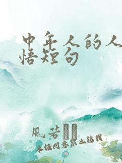 中年人的人生感悟短句